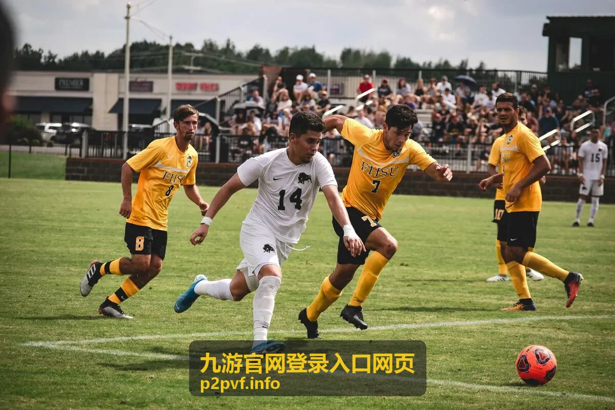 九游官网登录入口网页的入口访问示意画面