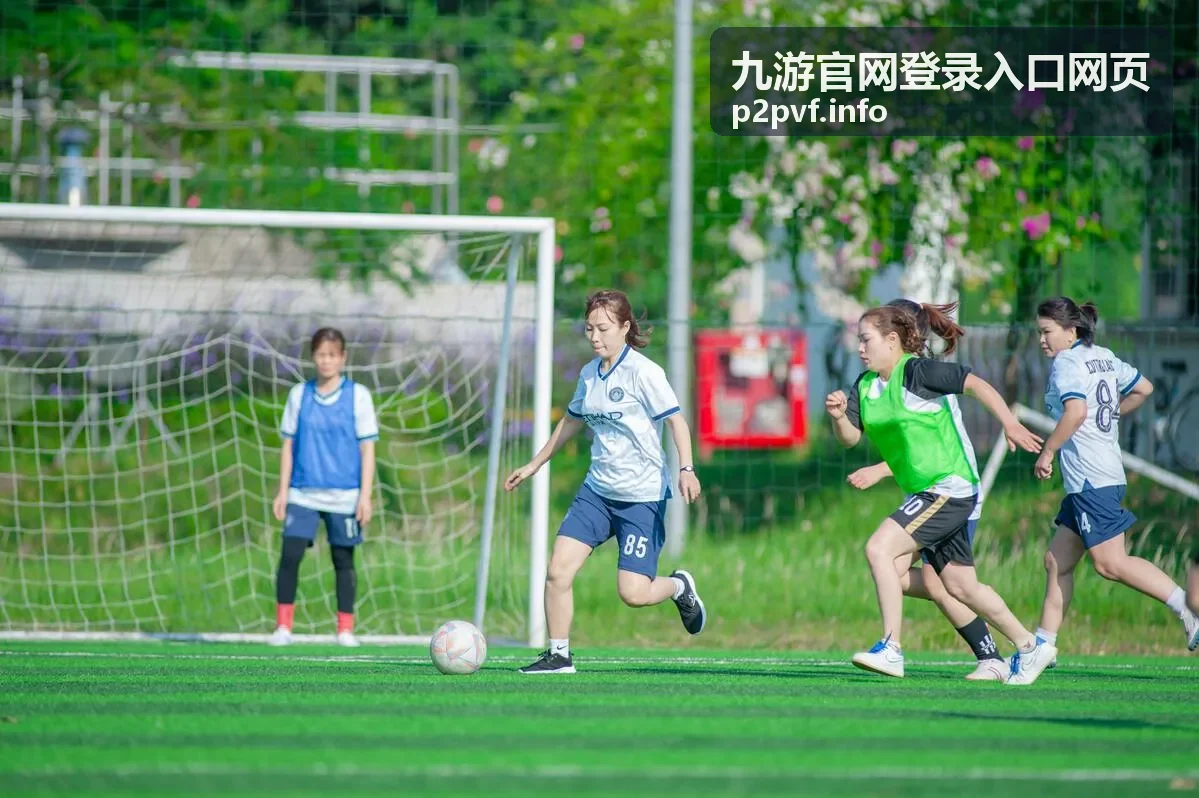 九游官网登录入口网页的账号登录流程示意